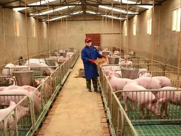 �����r(n��ng)���B(y��ng)ֳ���i�F(xi��n)��(ch��ng)